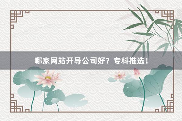哪家网站开导公司好?专科推选!